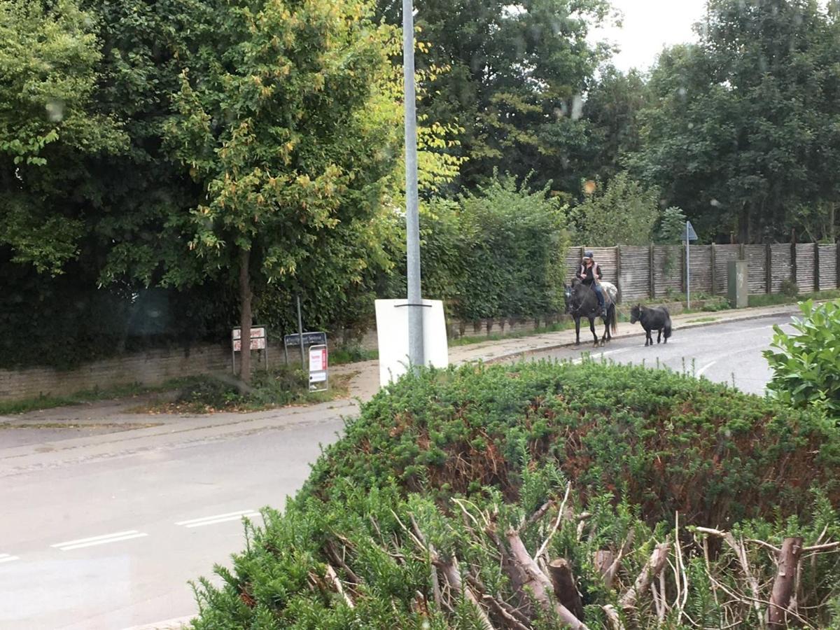 Jonstrupvejens Apartments Lejl C Ballerup Dış mekan fotoğraf